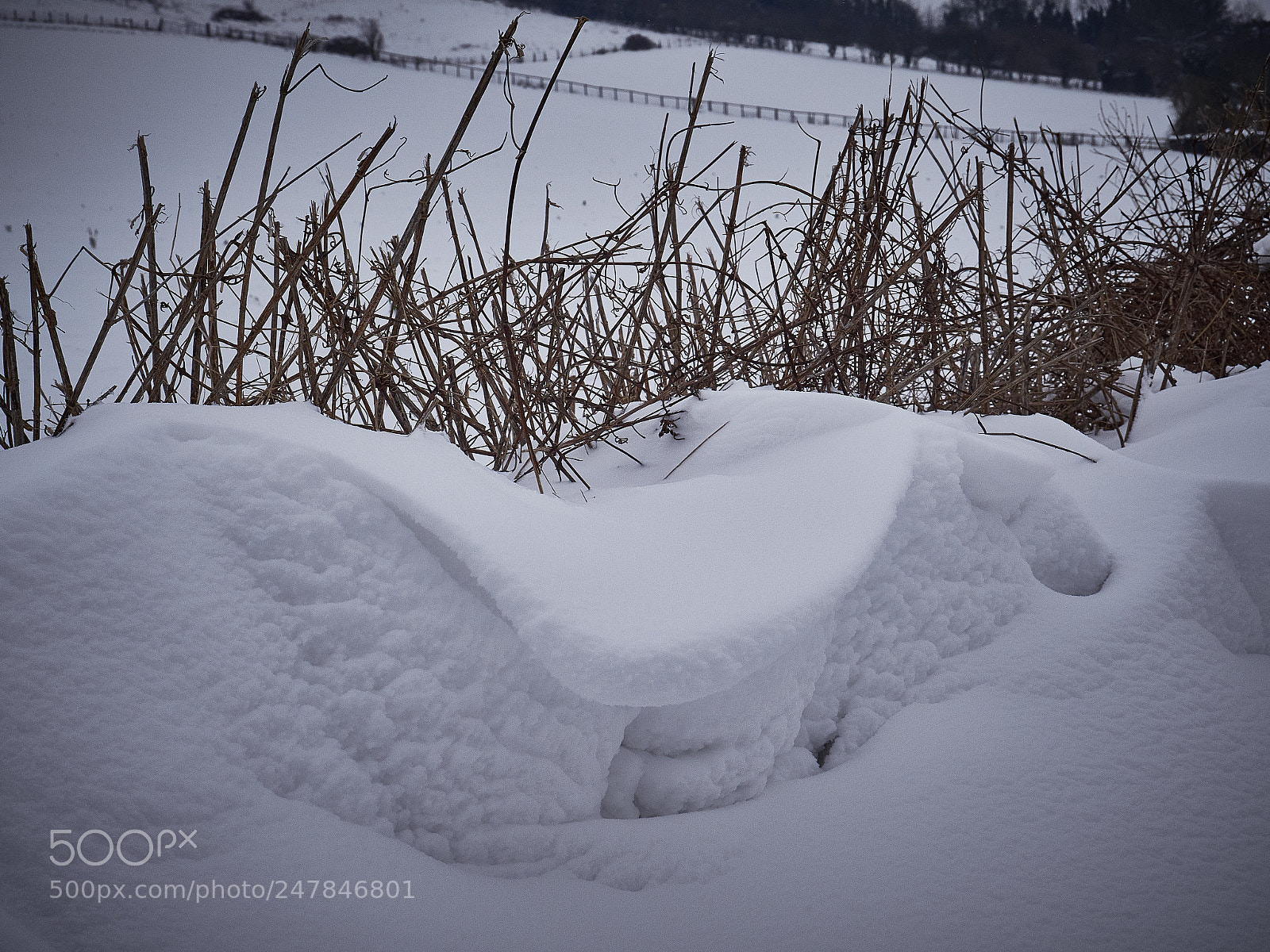 Panasonic Lumix DMC-GX8 sample photo. February snow photography
