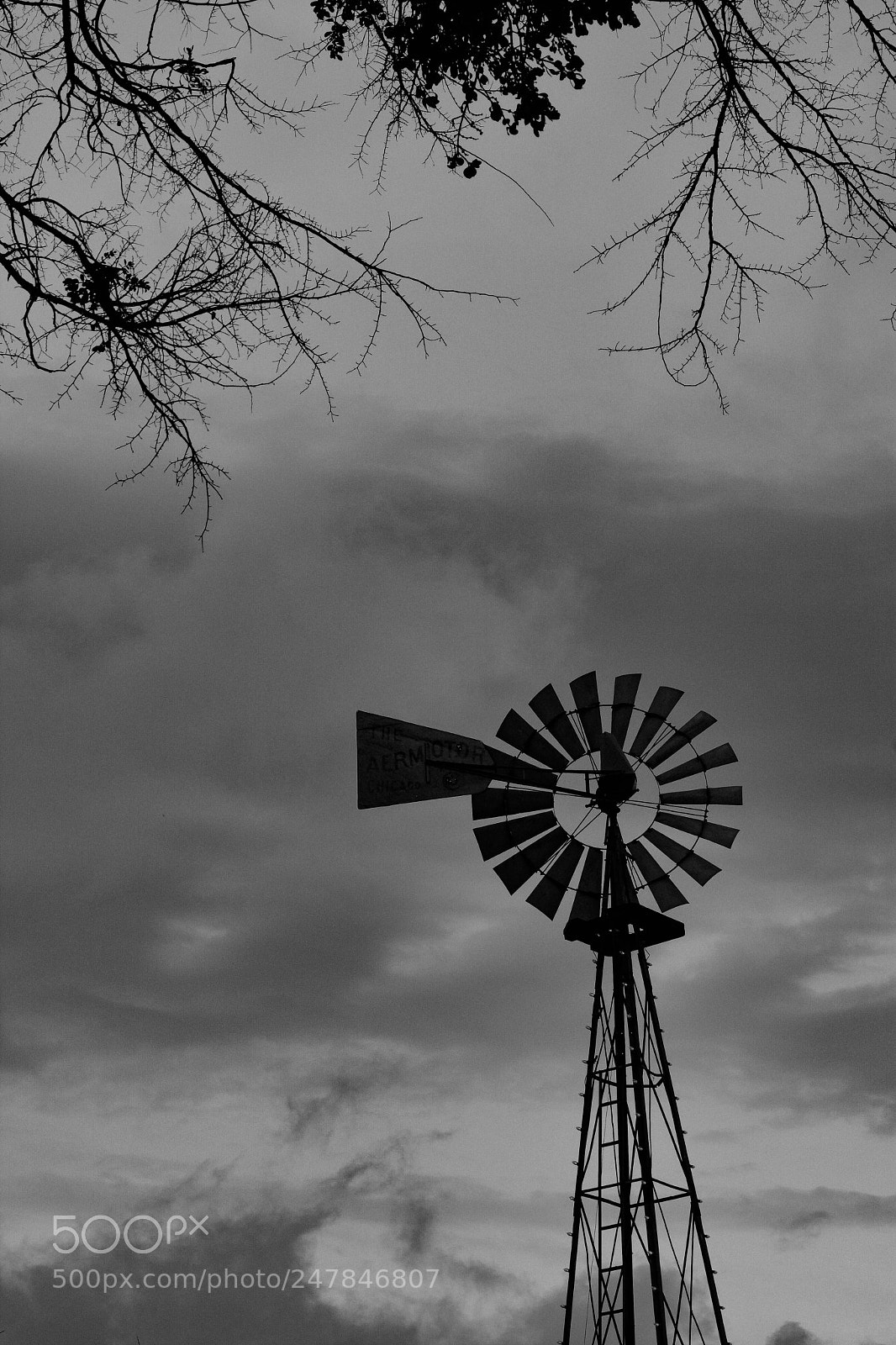 Nikon D5200 sample photo. It's in the air photography