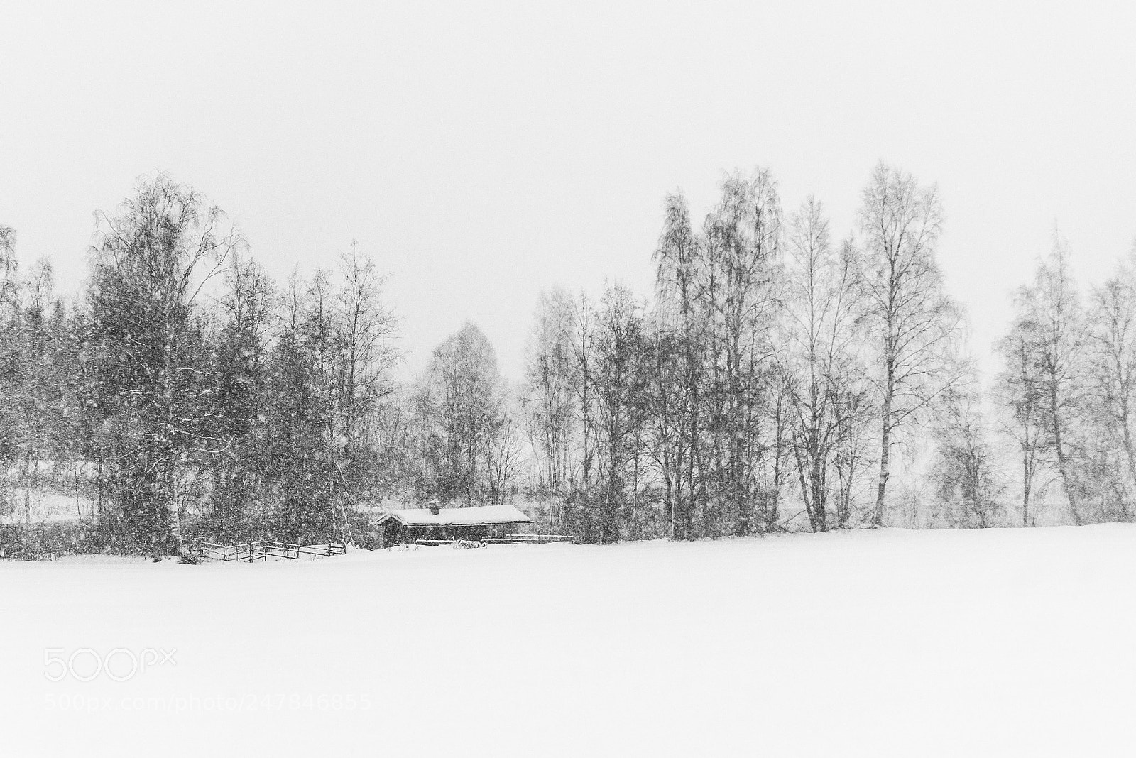 Nikon D810 sample photo. Untitled photography
