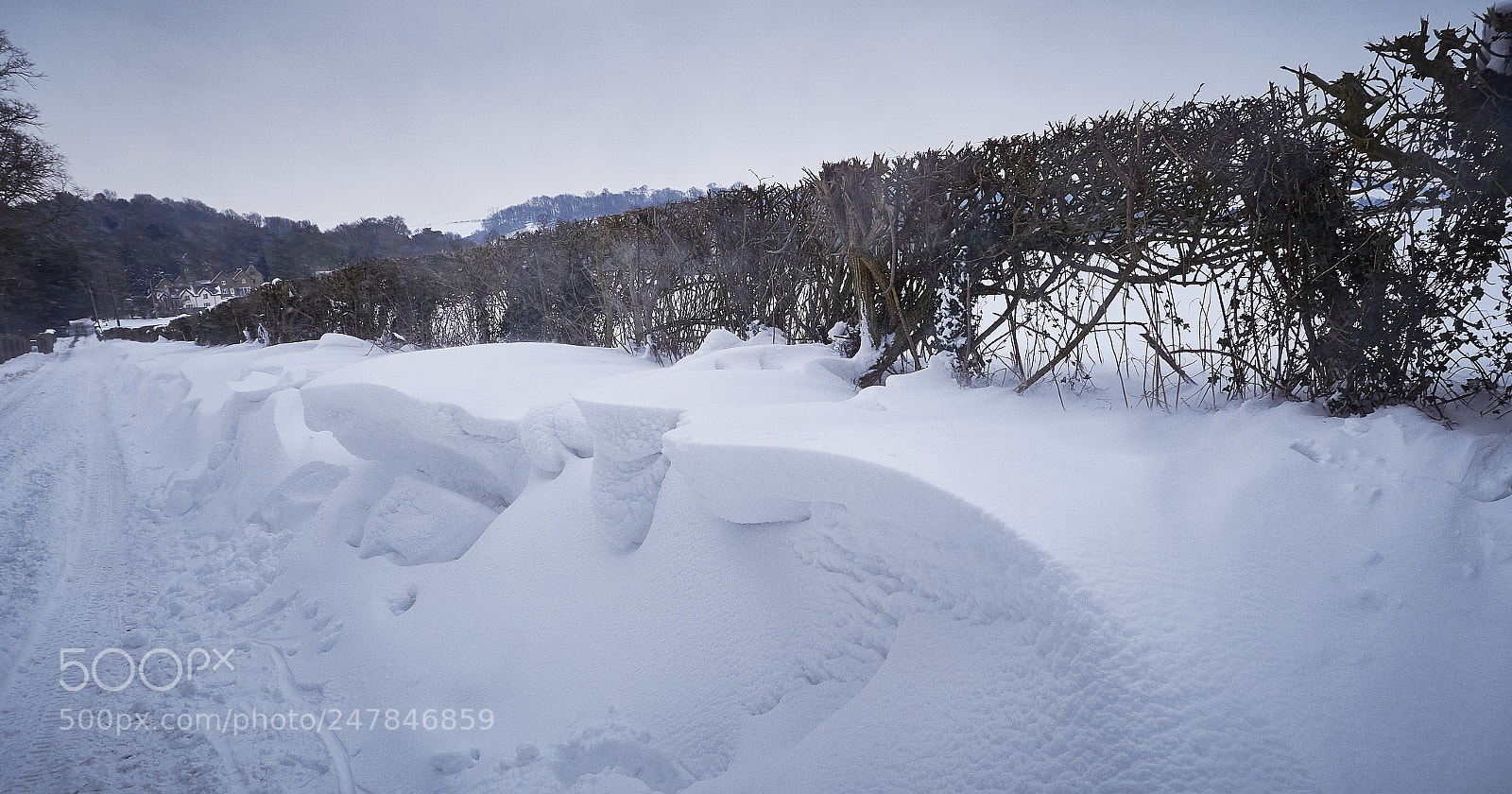 Panasonic Lumix DMC-GX8 sample photo. February snow photography