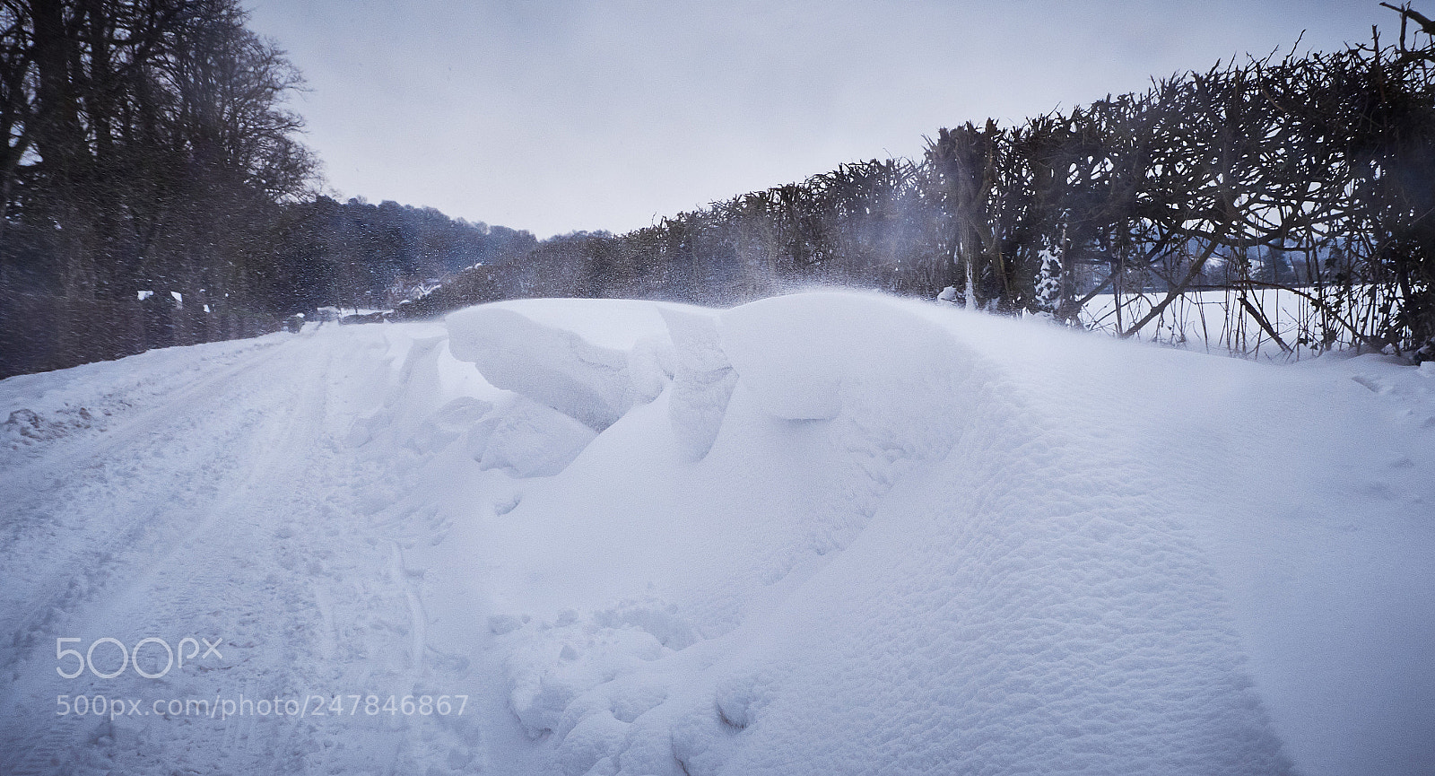 Panasonic Lumix DMC-GX8 sample photo. February snow photography