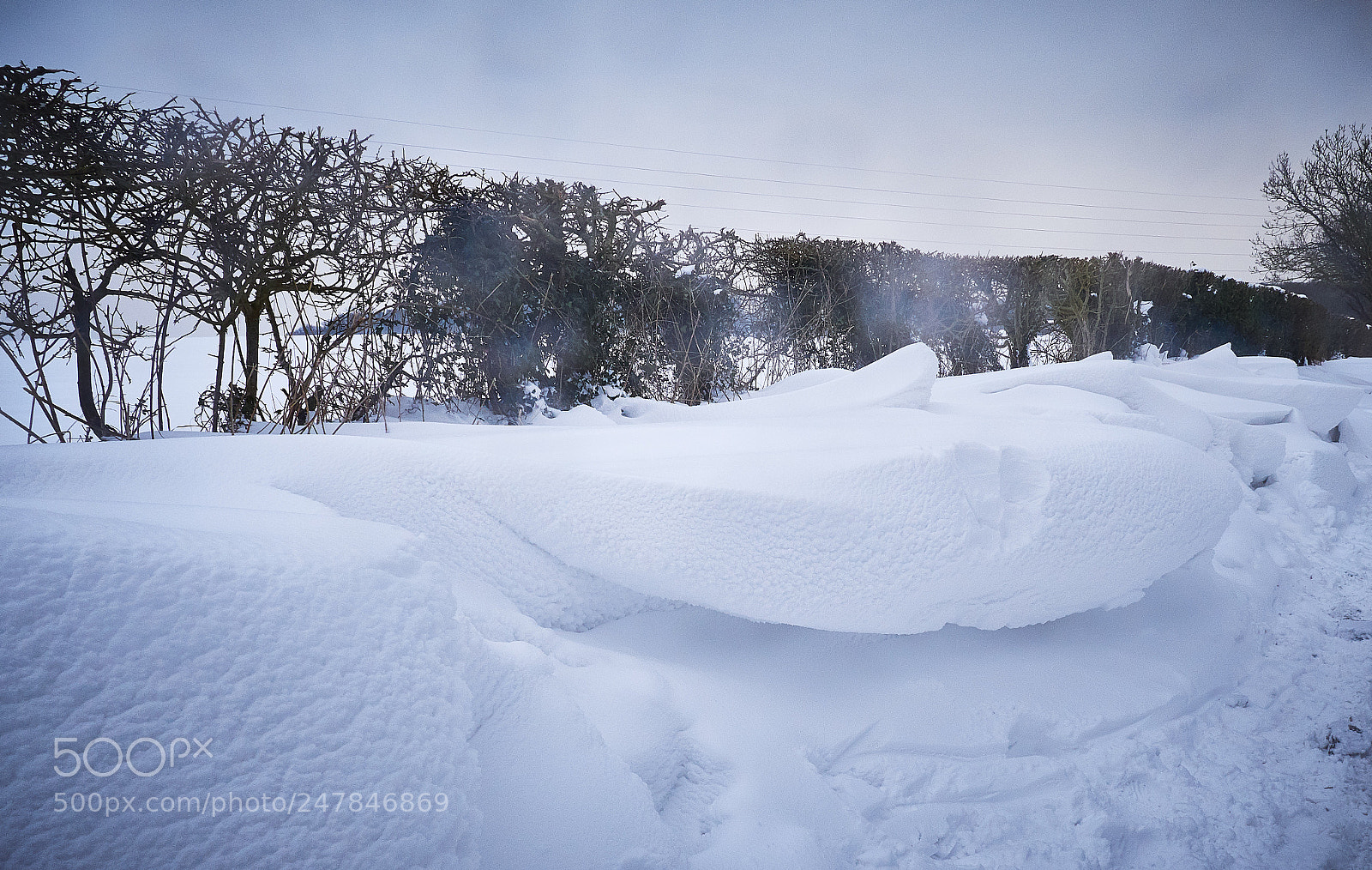 Panasonic Lumix DMC-GX8 sample photo. February snow photography