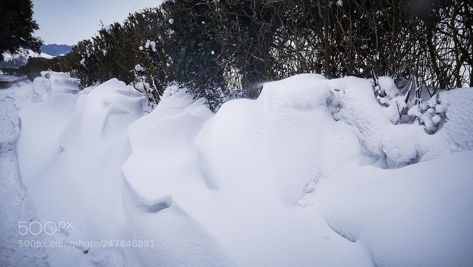 Panasonic Lumix DMC-GX8 sample photo. February snow photography