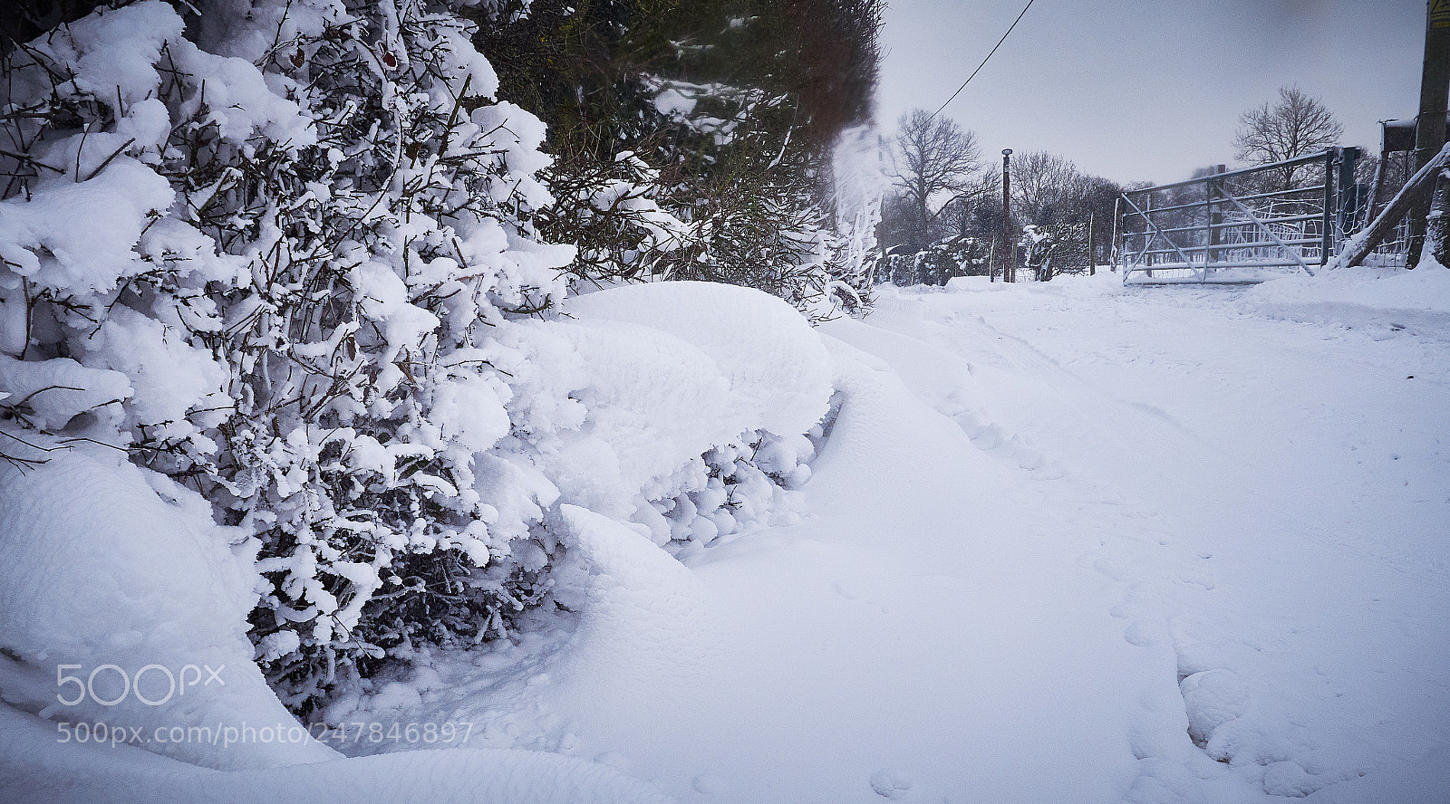 Panasonic Lumix DMC-GX8 sample photo. February snow photography