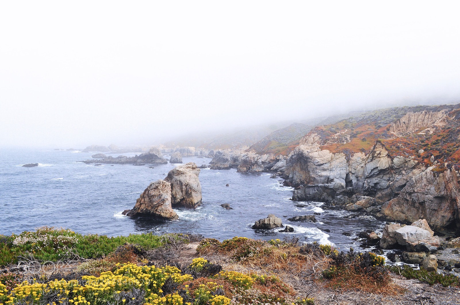 Nikon D5000 sample photo. California coast. photography