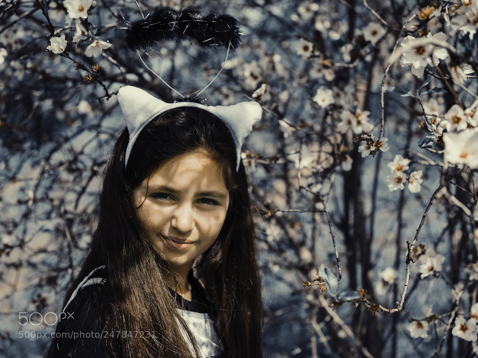 Fujifilm GFX 50S sample photo. Alamond in blue tones photography