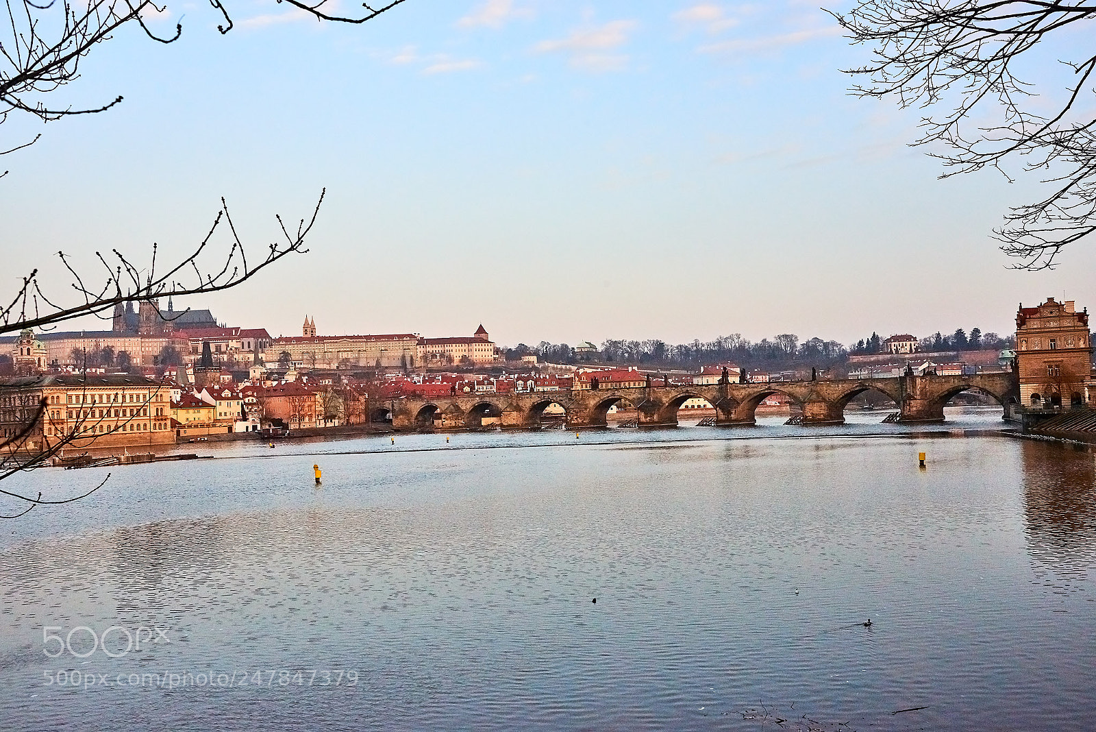 Nikon D800 sample photo. Karlov bridge prague photography