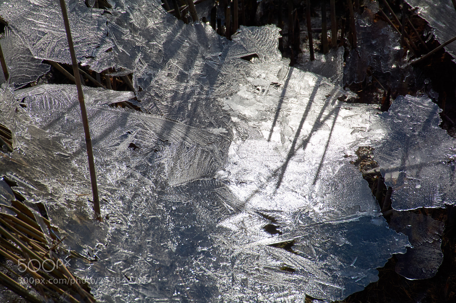 Nikon D5200 sample photo. Ice photography