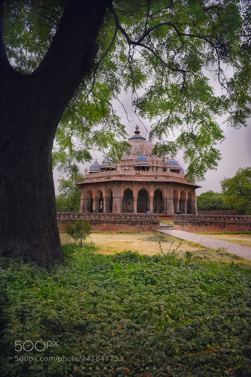 Nikon D5500 sample photo. Resting place photography