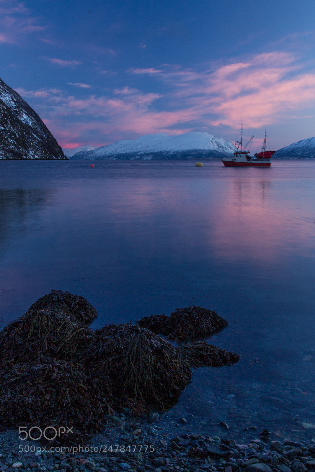 Canon EOS 600D (Rebel EOS T3i / EOS Kiss X5) sample photo. Am fjord photography