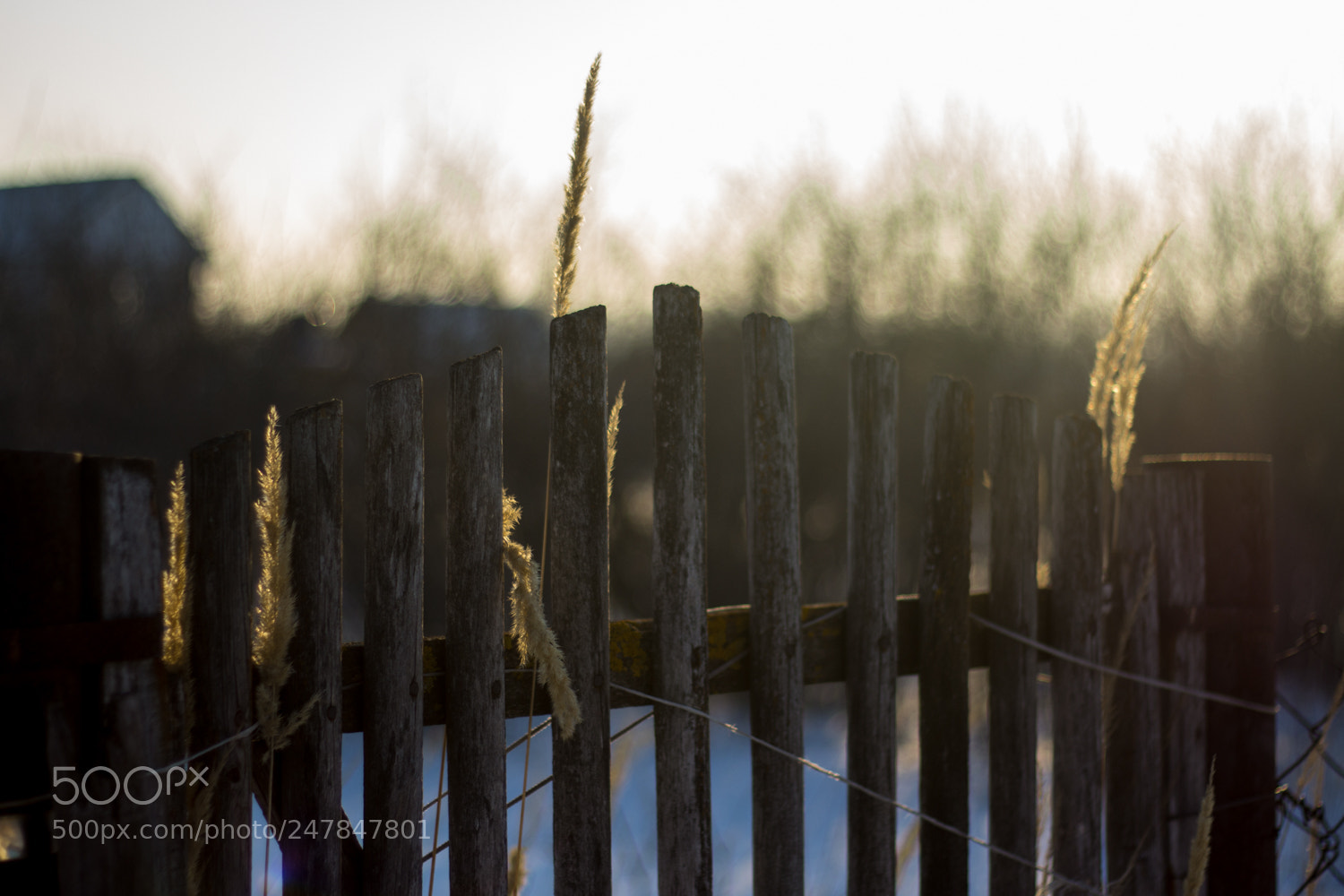 Canon EOS 700D (EOS Rebel T5i / EOS Kiss X7i) sample photo. Bench photography
