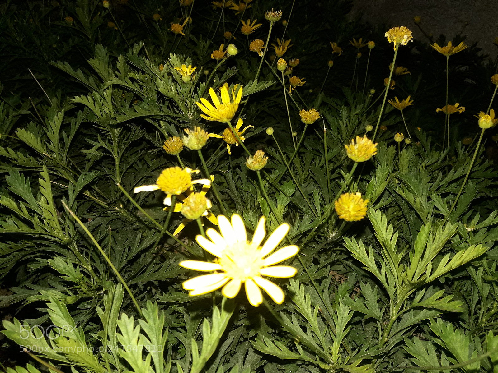 Samsung Galaxy J7 Neo sample photo. Untitled photography