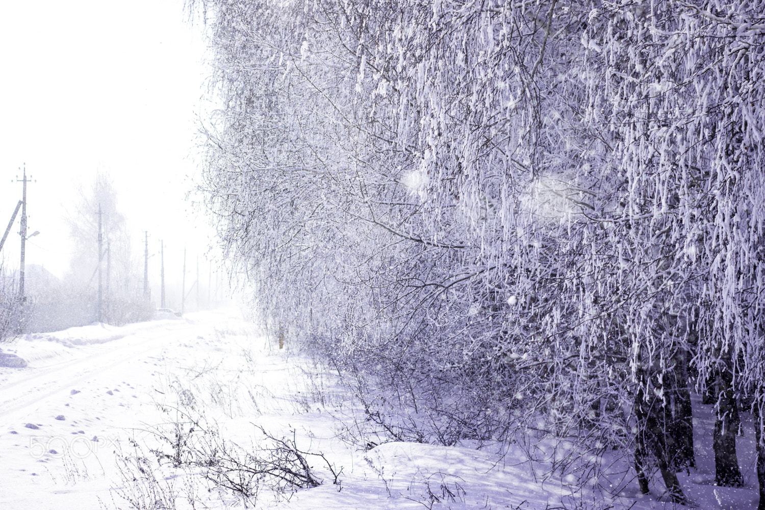 Canon EOS 700D (EOS Rebel T5i / EOS Kiss X7i) sample photo. Russian road photography