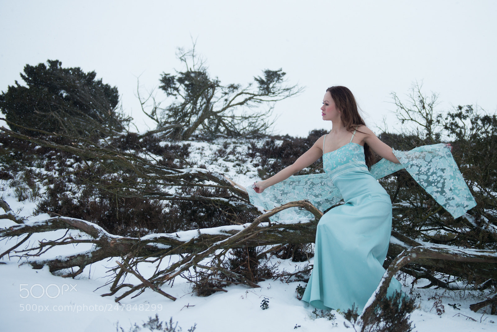 Nikon D800 sample photo. Snow queen mia photography