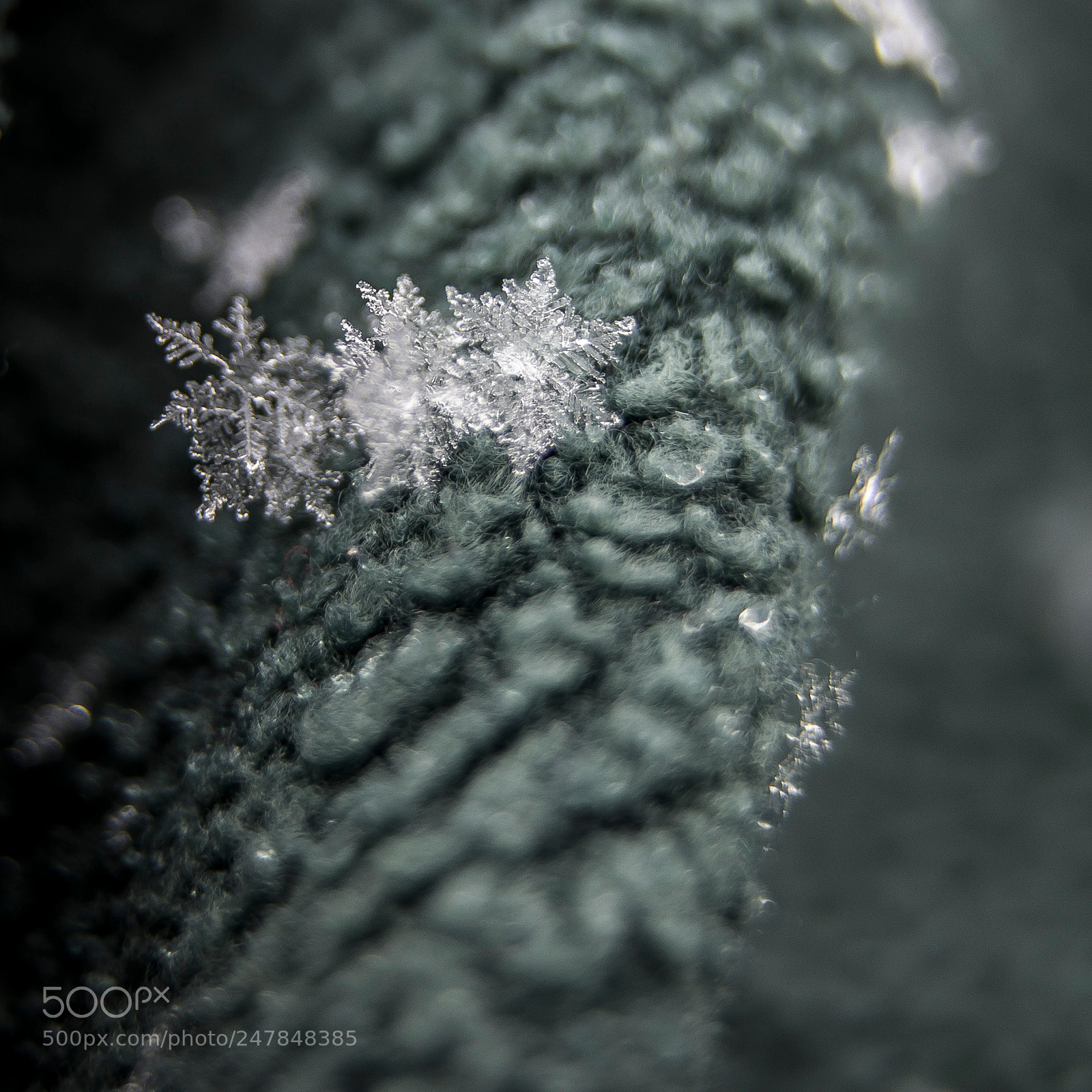Canon EOS 600D (Rebel EOS T3i / EOS Kiss X5) sample photo. Snowflake photography