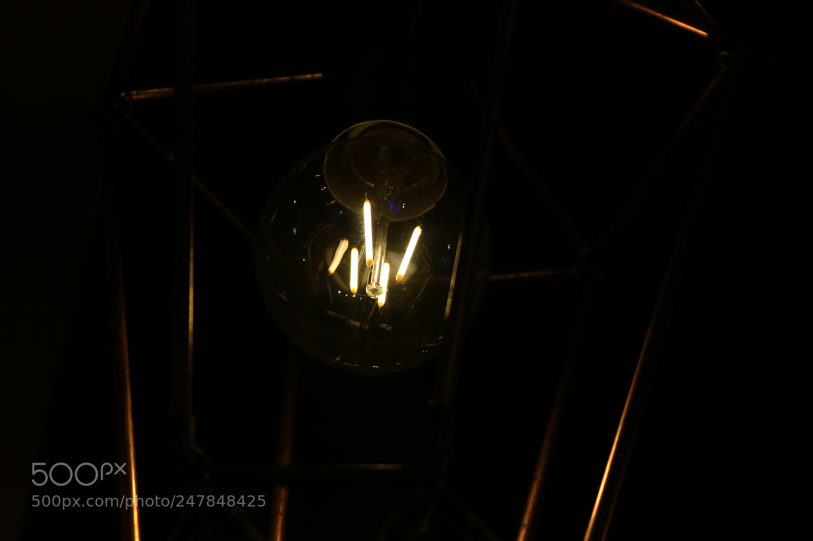 Canon EOS 750D (EOS Rebel T6i / EOS Kiss X8i) sample photo. Light bulb photography