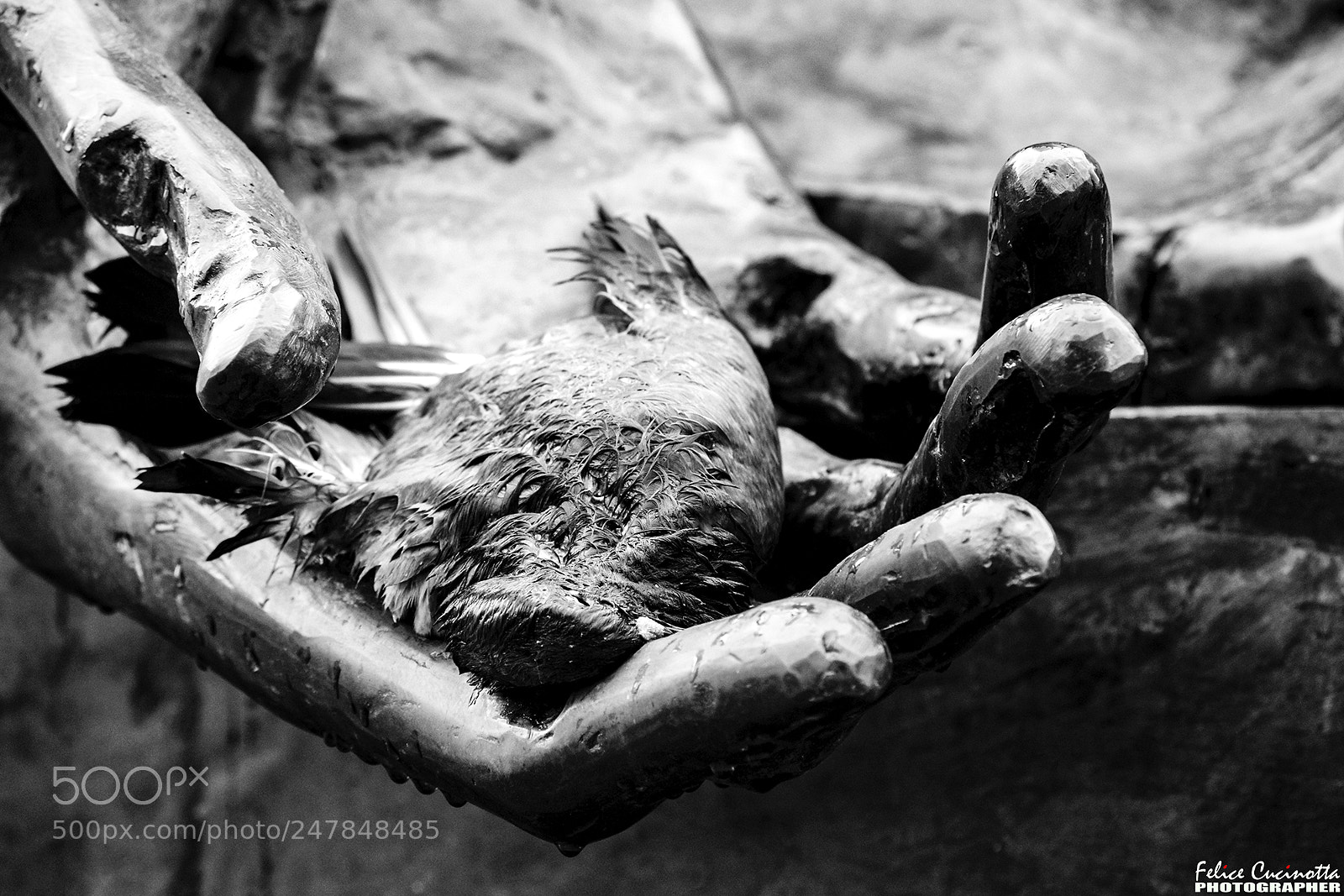 Sony Alpha DSLR-A850 sample photo. Bucarest 2011 photography