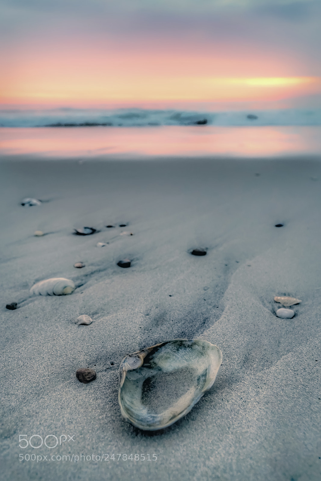 Sony a6300 sample photo. Good morning photography