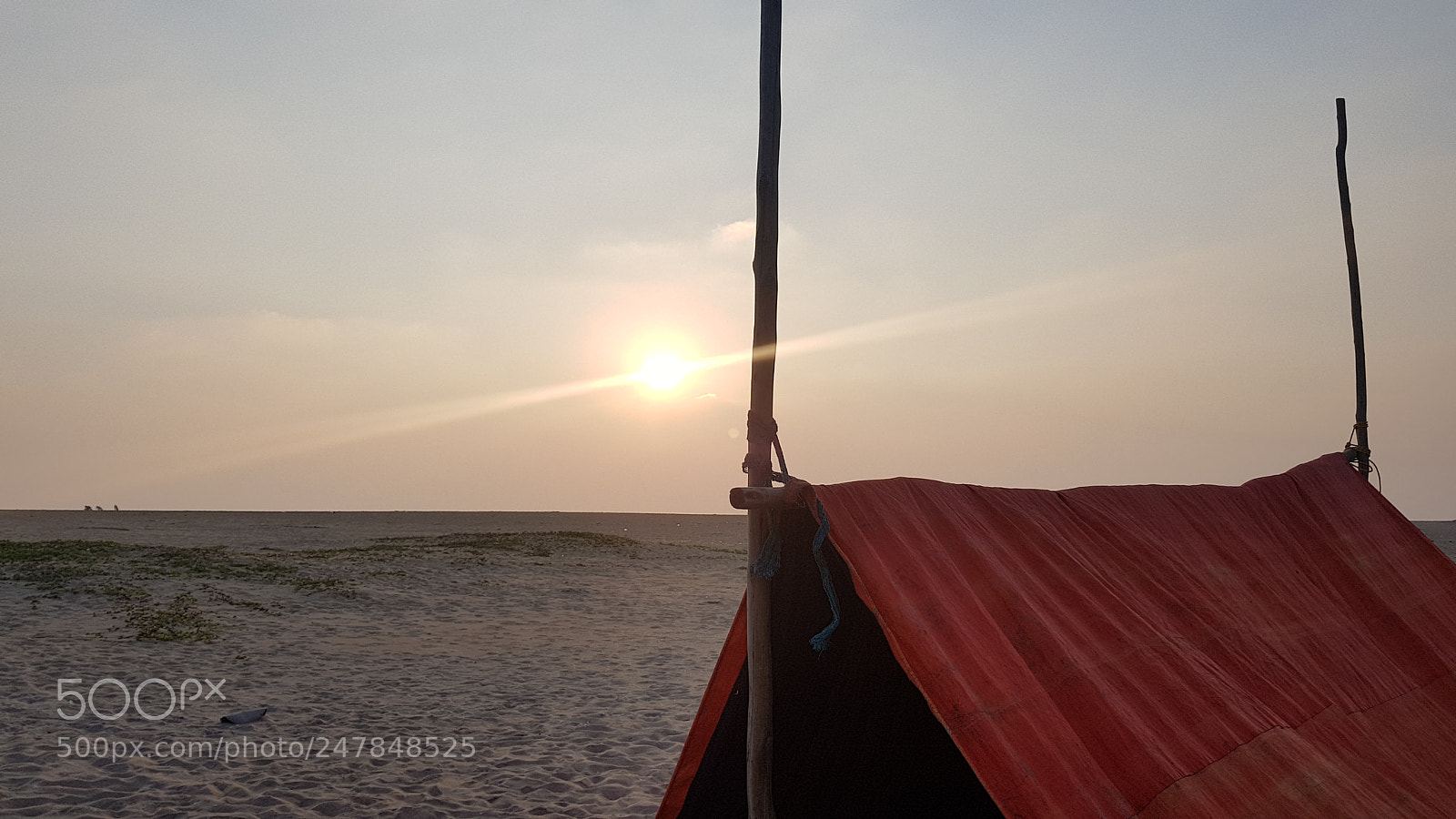Samsung Galaxy S8 sample photo. Untitled photography