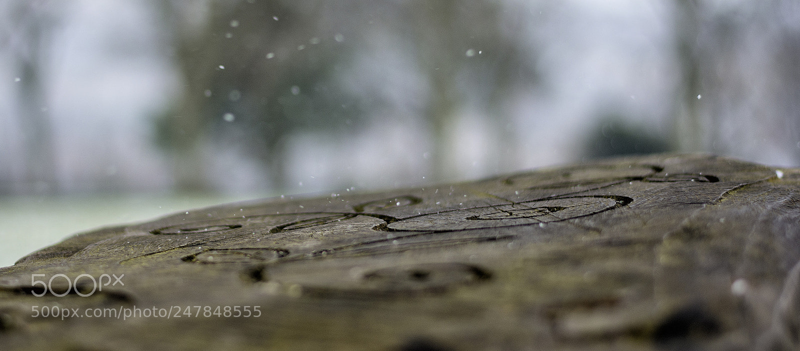 Nikon D7200 sample photo. Snowy carved tree stump photography