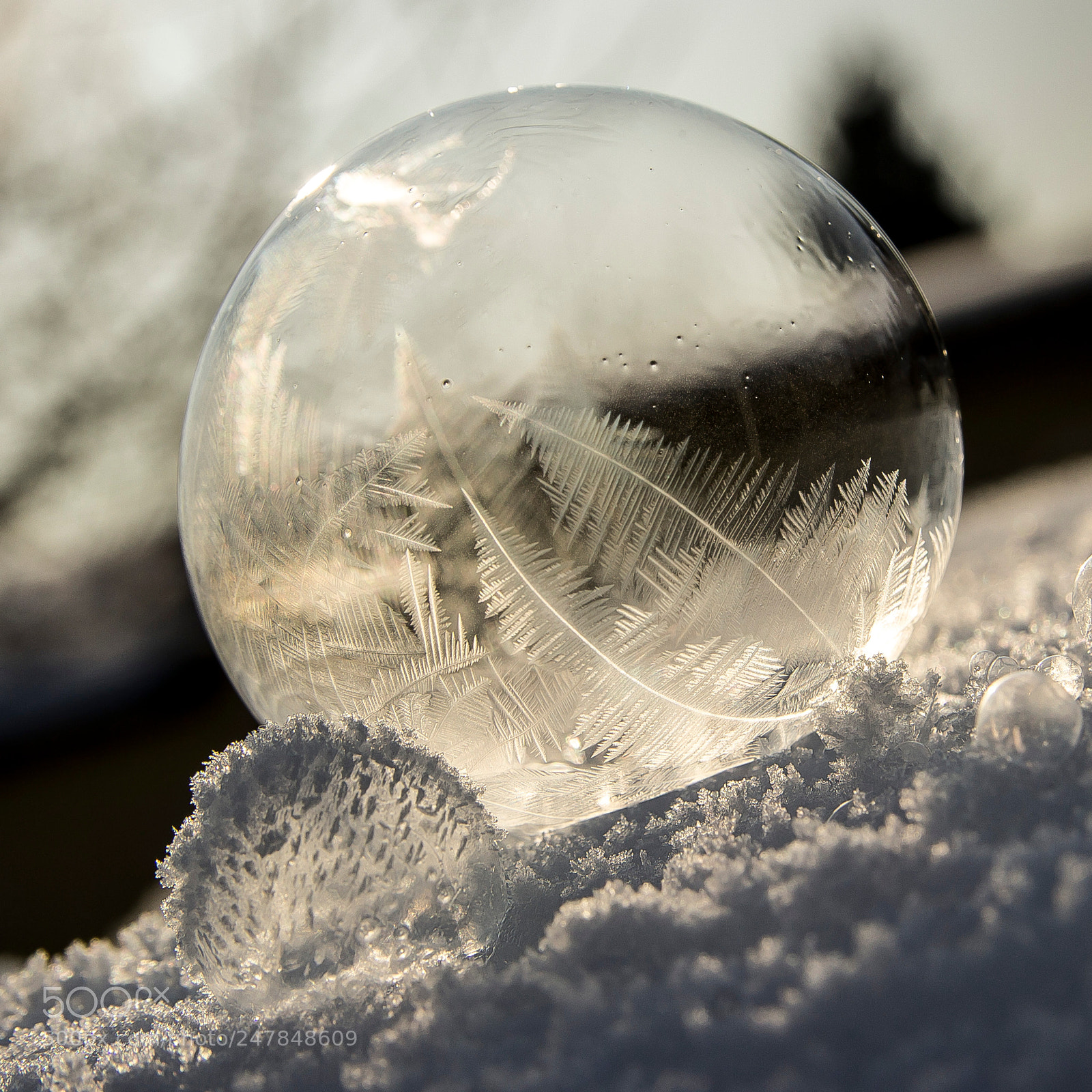 Canon EOS 600D (Rebel EOS T3i / EOS Kiss X5) sample photo. Bubble photography