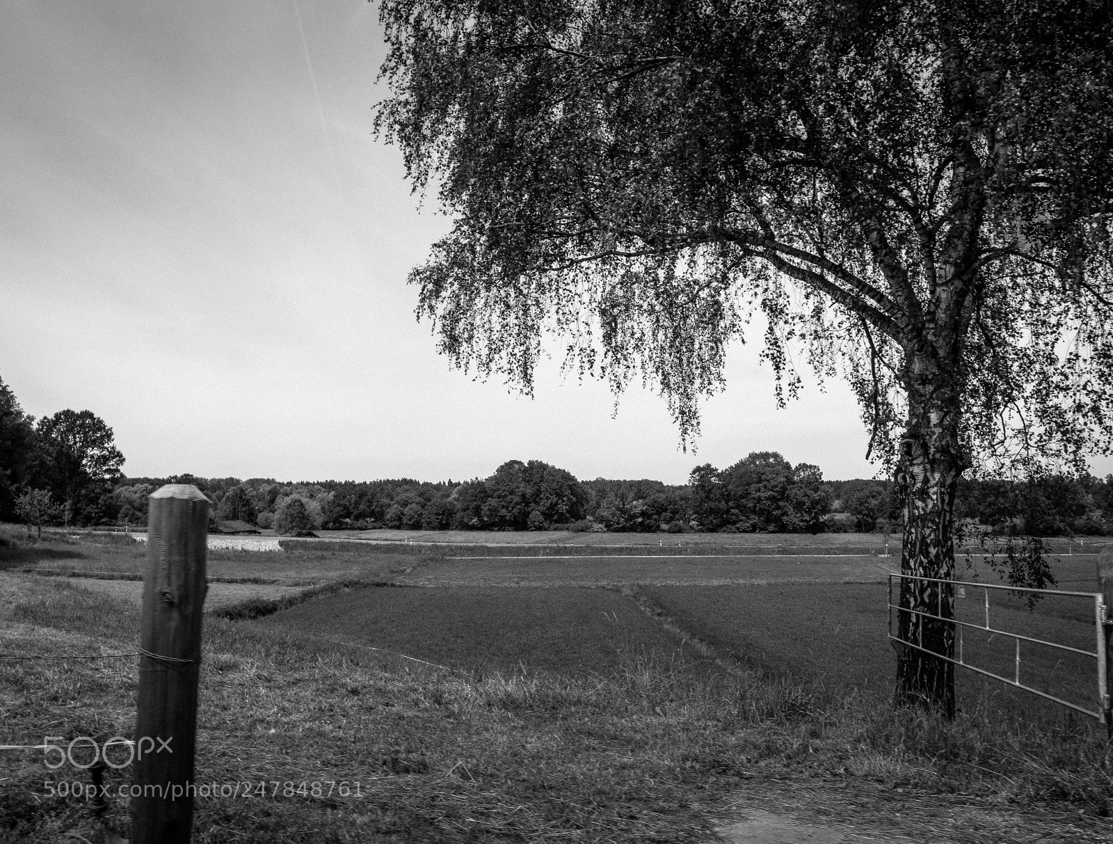 Samsung NX300 sample photo. Random bavarian landscapes photography