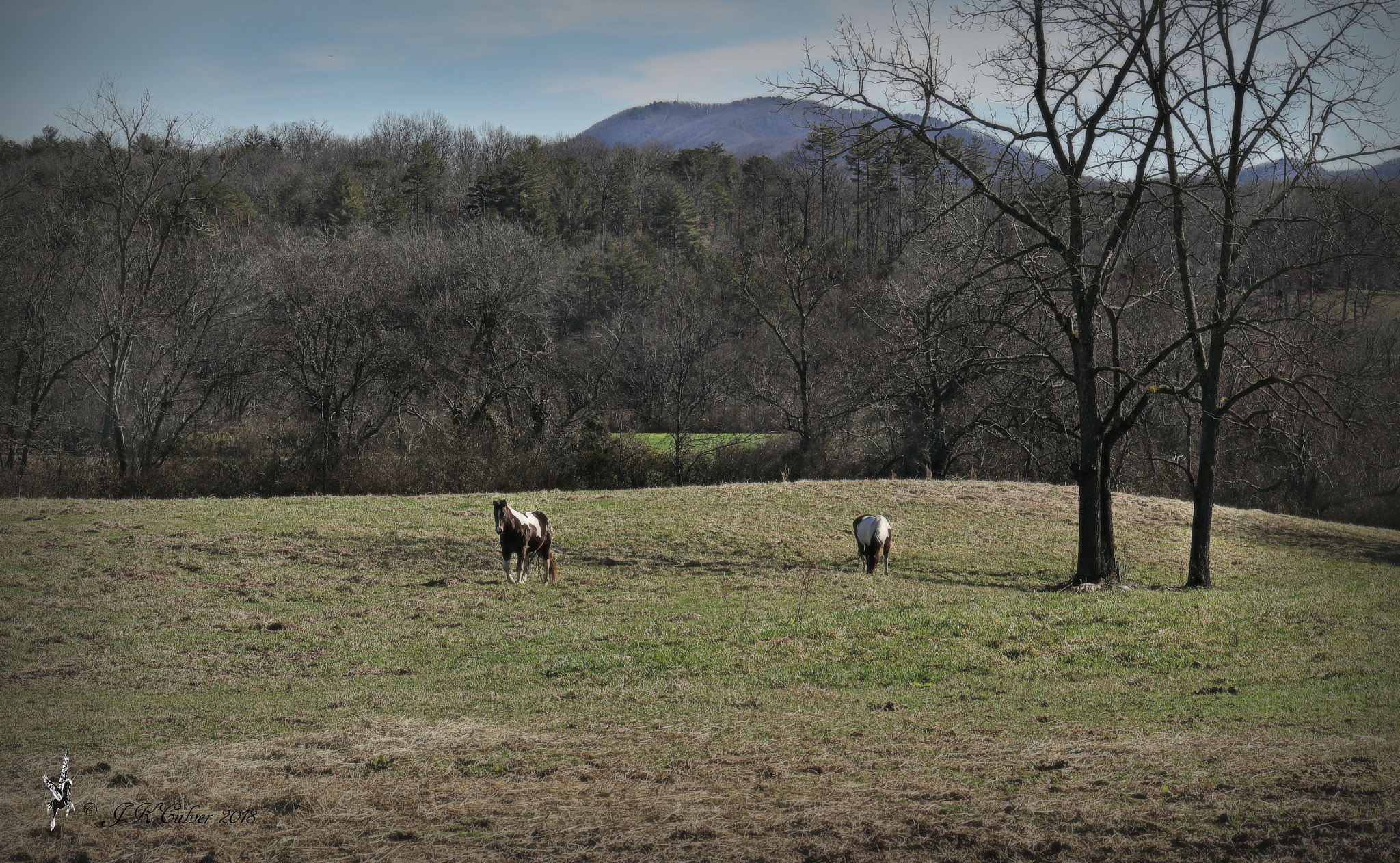 Canon EOS 77D (EOS 9000D / EOS 770D) sample photo. Sharing my happy place photography