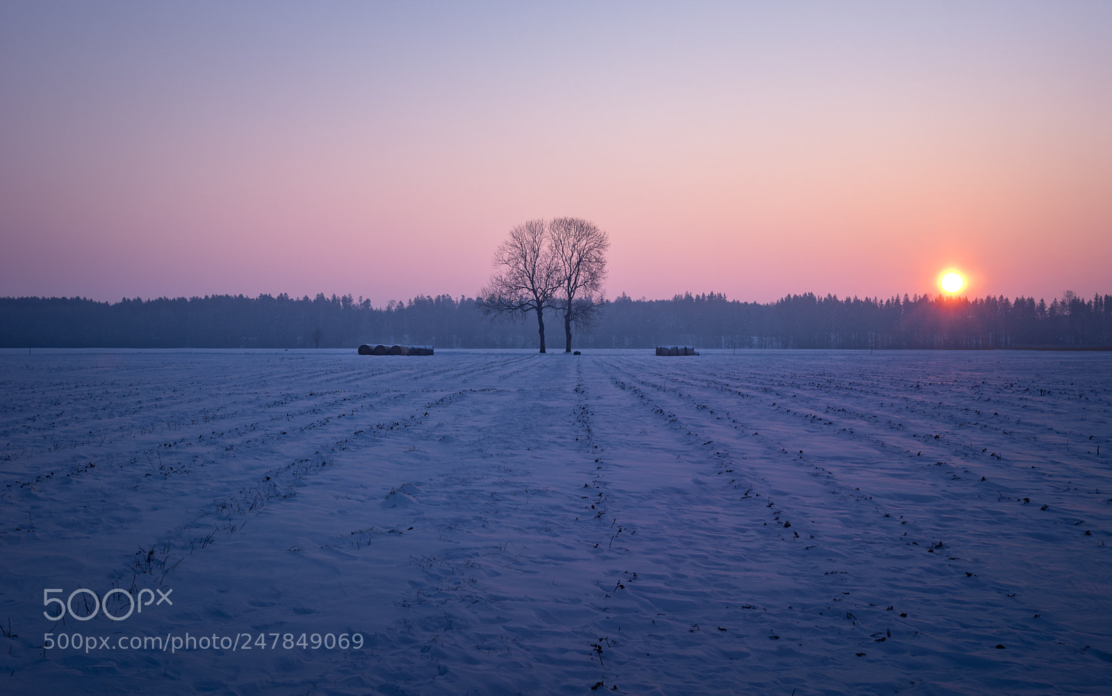 Pentax K-3 II sample photo. Cold morning photography