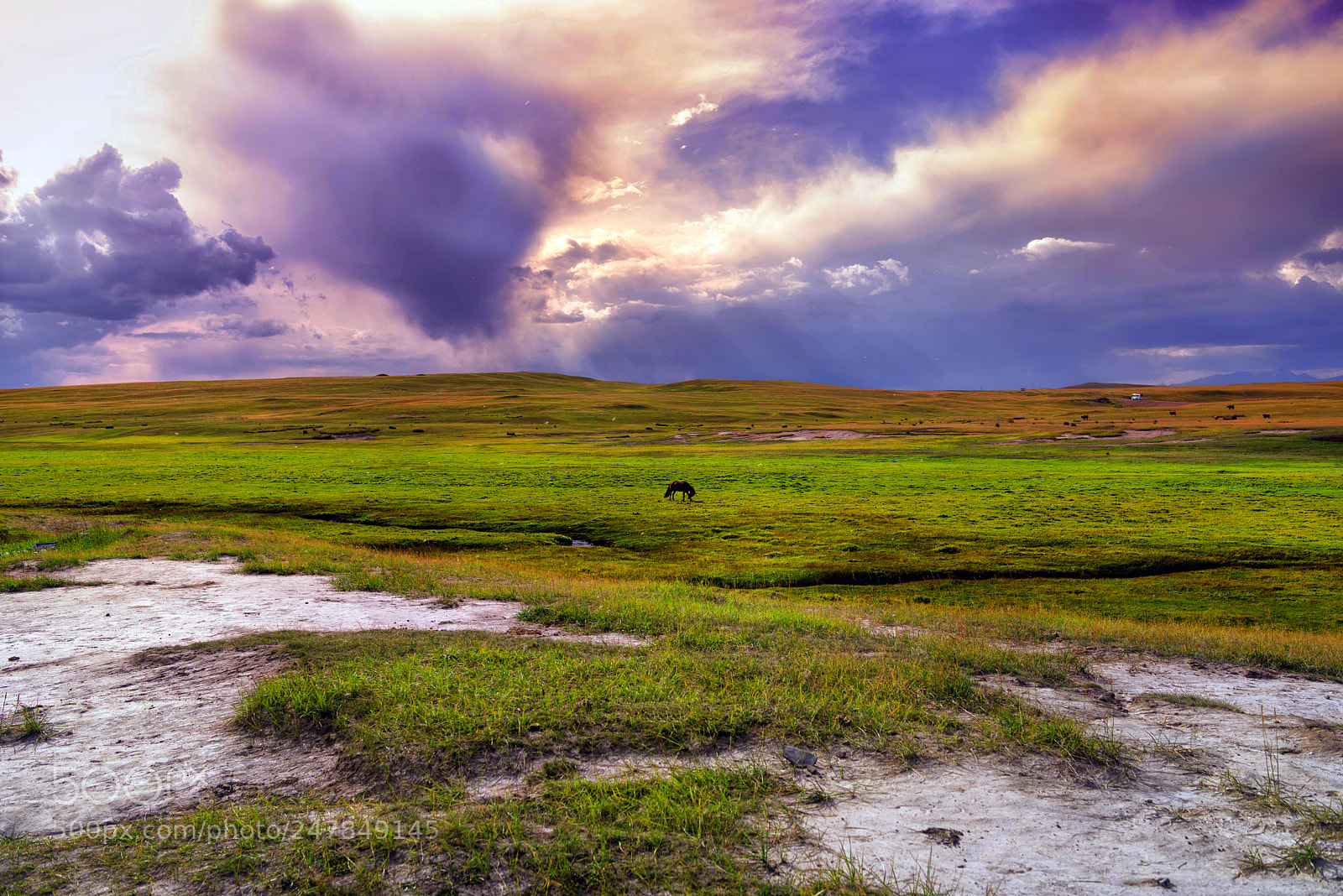 Pentax K-1 sample photo. Highland pasture photography
