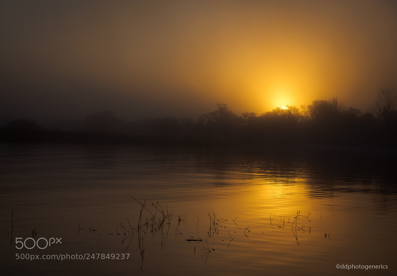 Olympus OM-D E-M1 sample photo. Foggy lakesunrise photography
