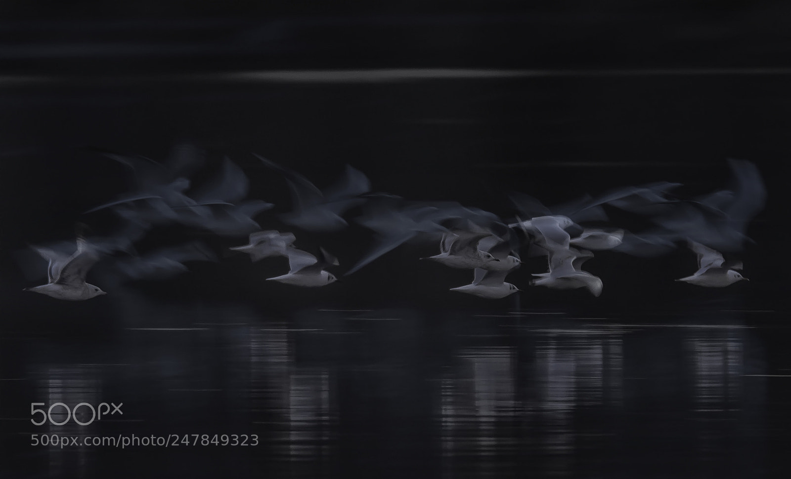 Nikon D7100 sample photo. Nightflight photography