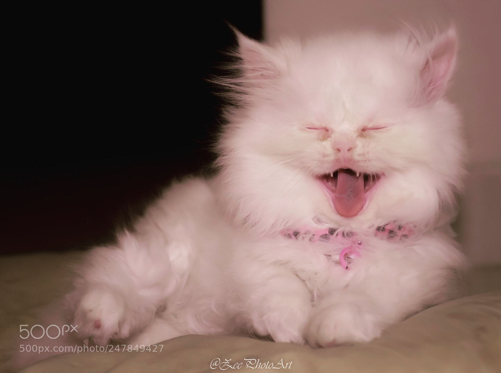 Nikon D5100 sample photo. Lilly having a laugh... photography