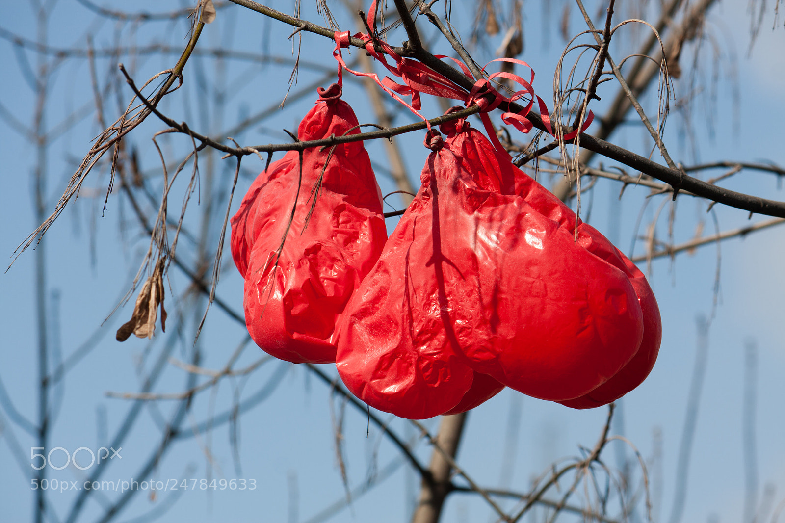 Canon EOS 40D sample photo. Baloon hearts photography