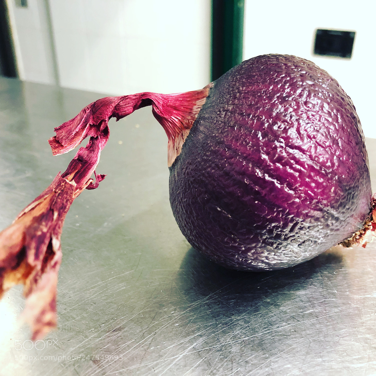 Apple iPhone X sample photo. Freezed onion photography