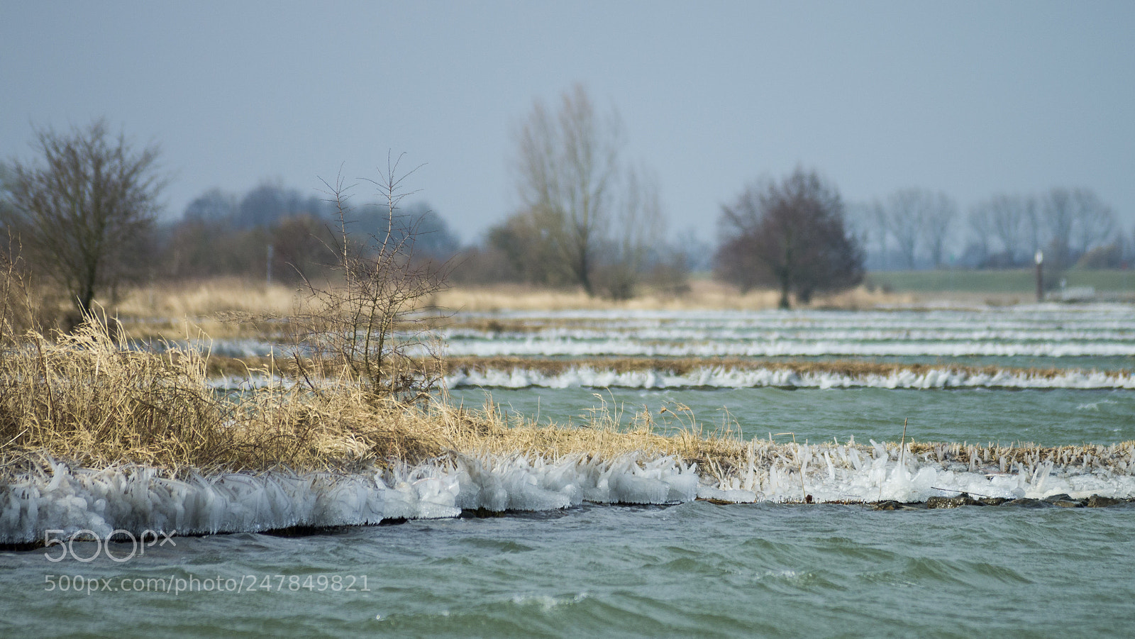 Pentax K-5 sample photo. Icy photography