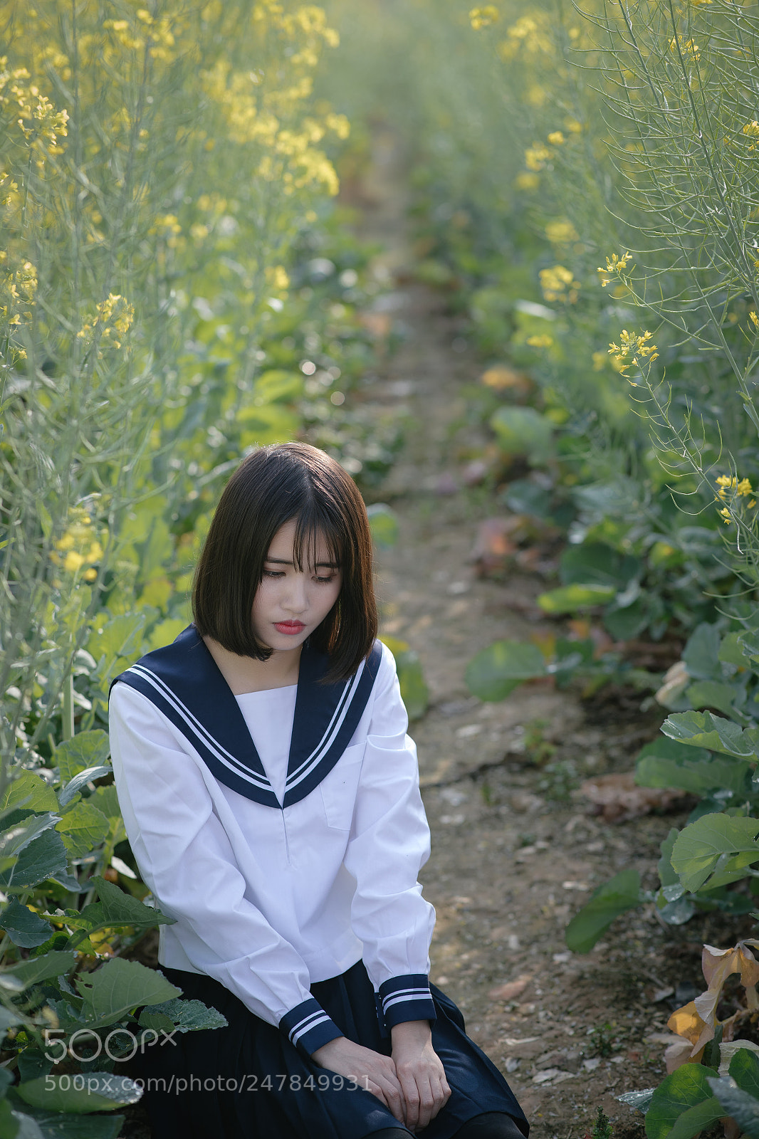 Canon EOS-1D X Mark II sample photo. Untitled photography