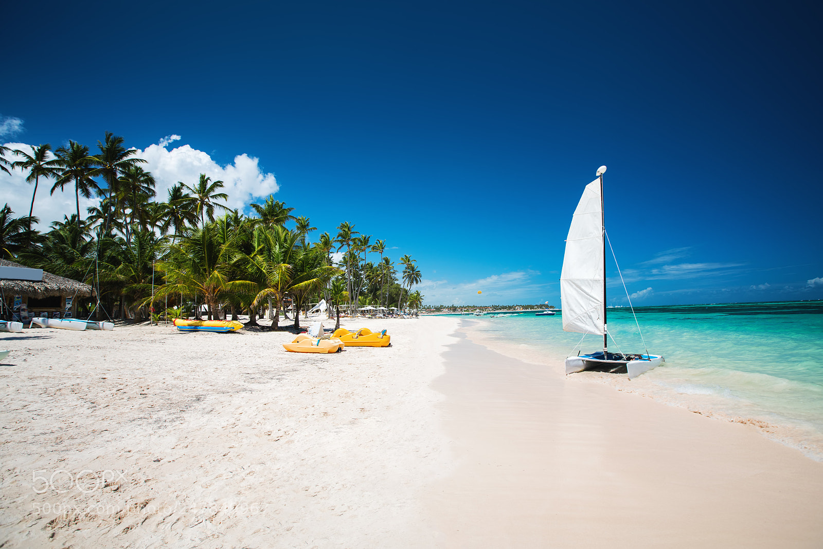 Sony a7R II sample photo. Palm and tropical beach photography