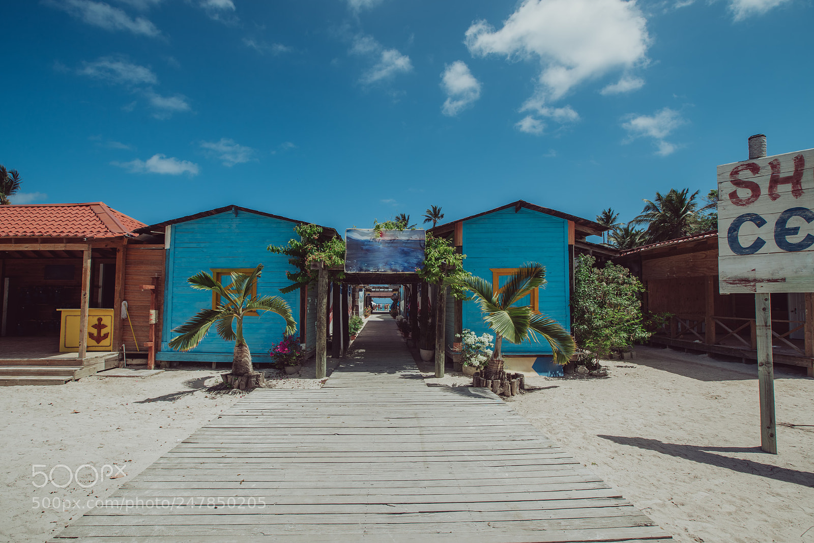 Sony a7R II sample photo. Shopping cener and tropical photography