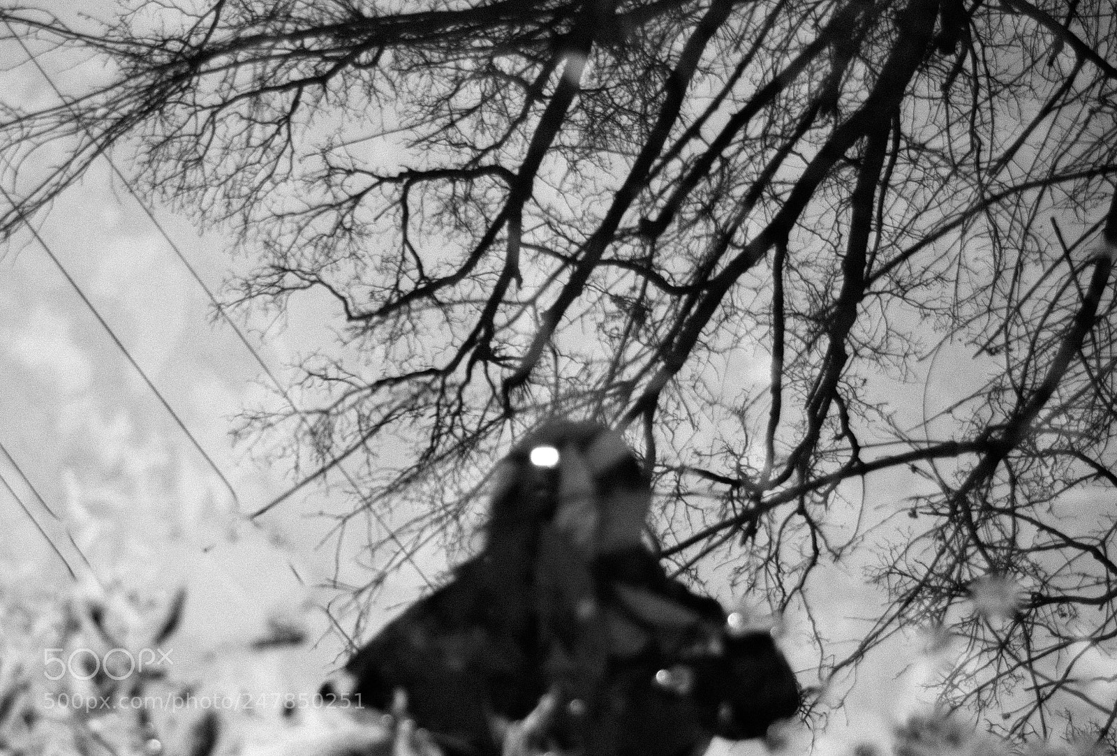 Nikon D3200 sample photo. Abstract self portrait photography