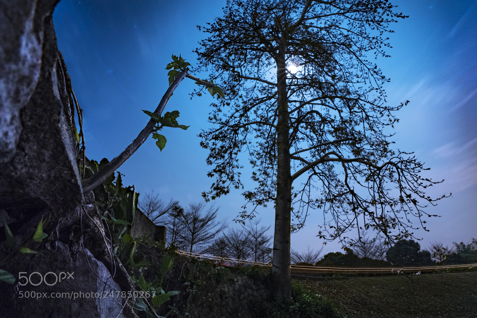 Sony a7R II sample photo. Full moon blue photography