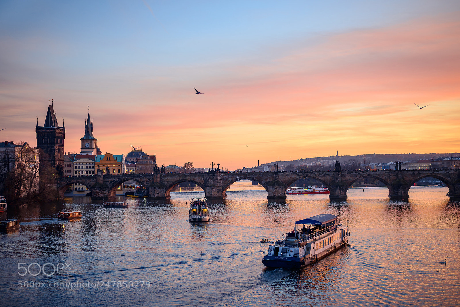 Nikon D800 sample photo. Charles bridge karl v photography