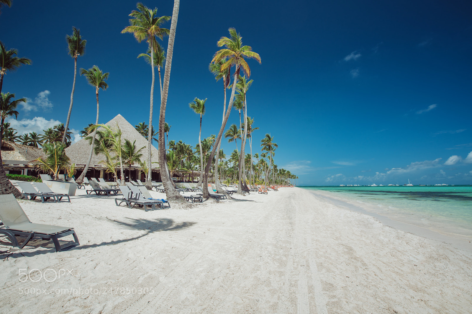 Sony a7R II sample photo. Palm and tropical beach photography