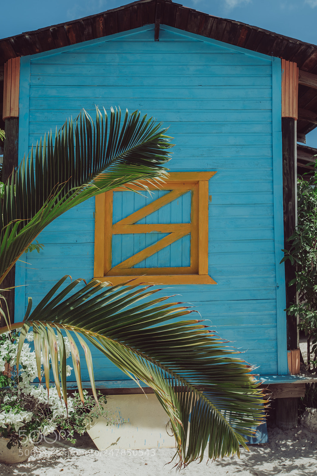 Sony a7R II sample photo. White window on a photography