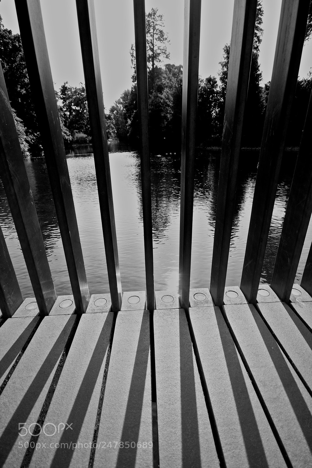 Canon EOS 40D sample photo. At photography