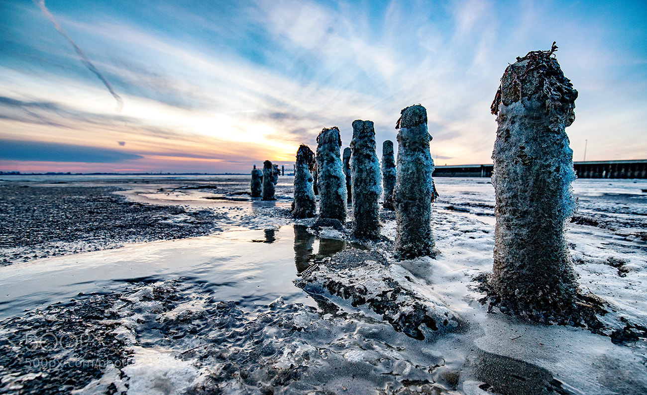 Canon EOS 6D Mark II sample photo. Cold days photography