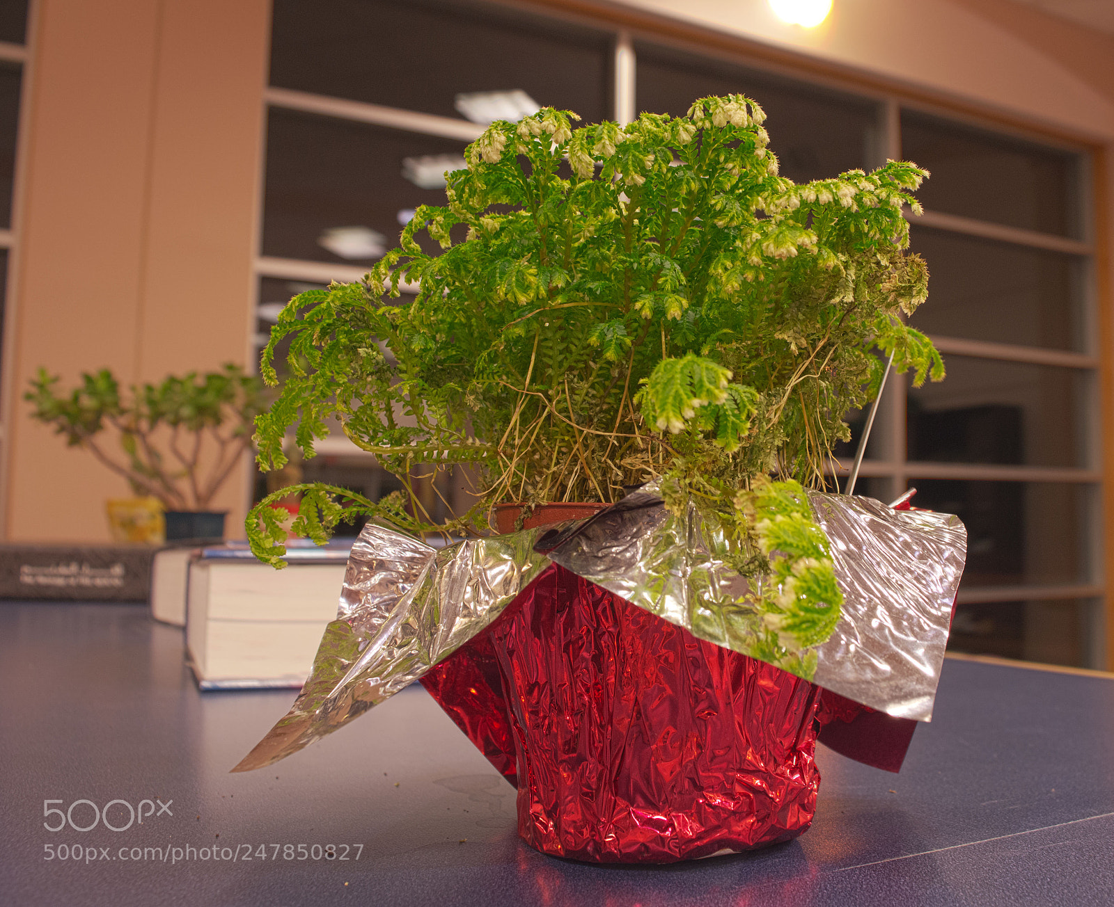 Nikon D3200 sample photo. Hdr shot photography