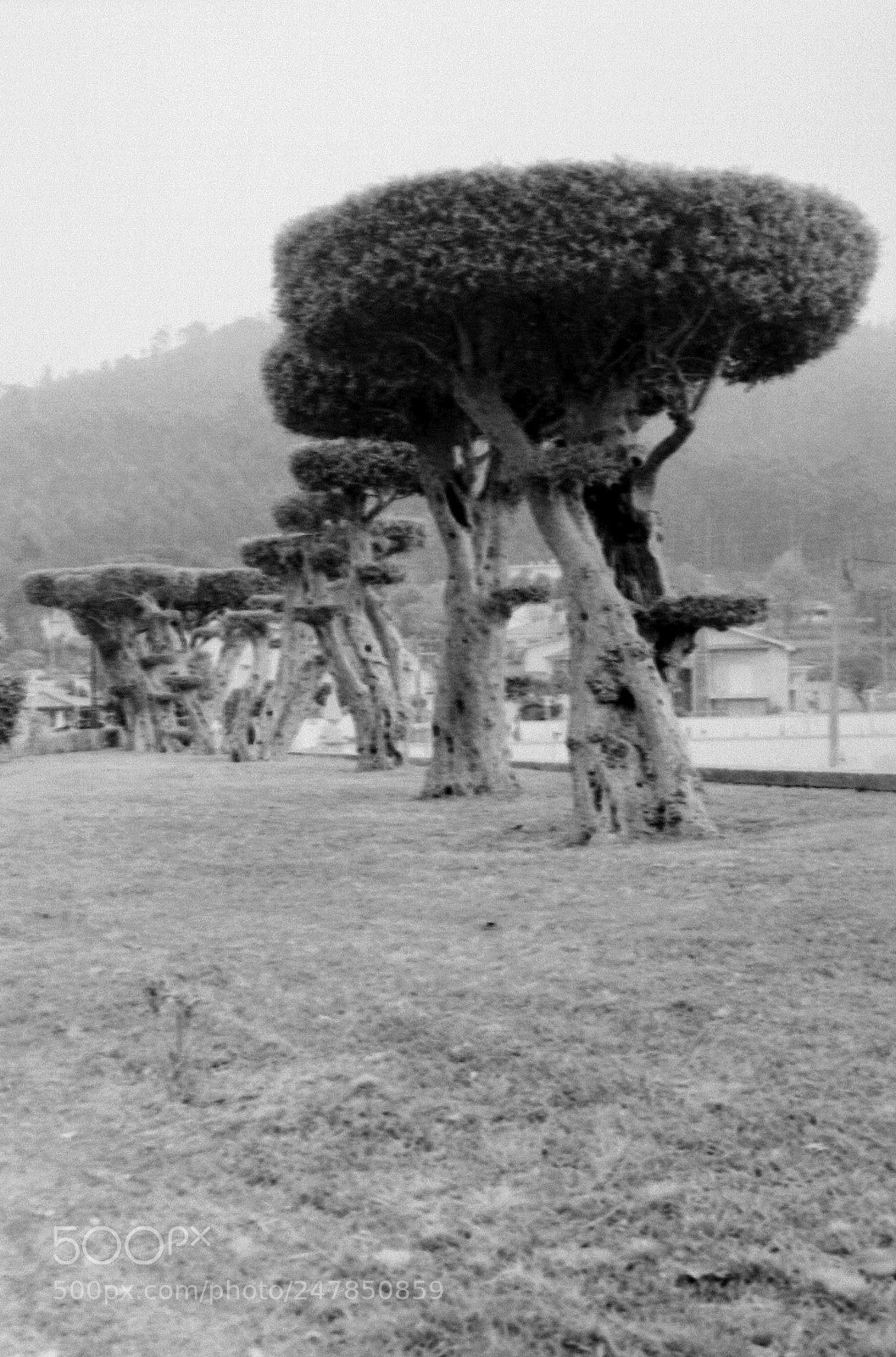 Canon EOS 400D (EOS Digital Rebel XTi / EOS Kiss Digital X) sample photo. Paz de s. miguel photography