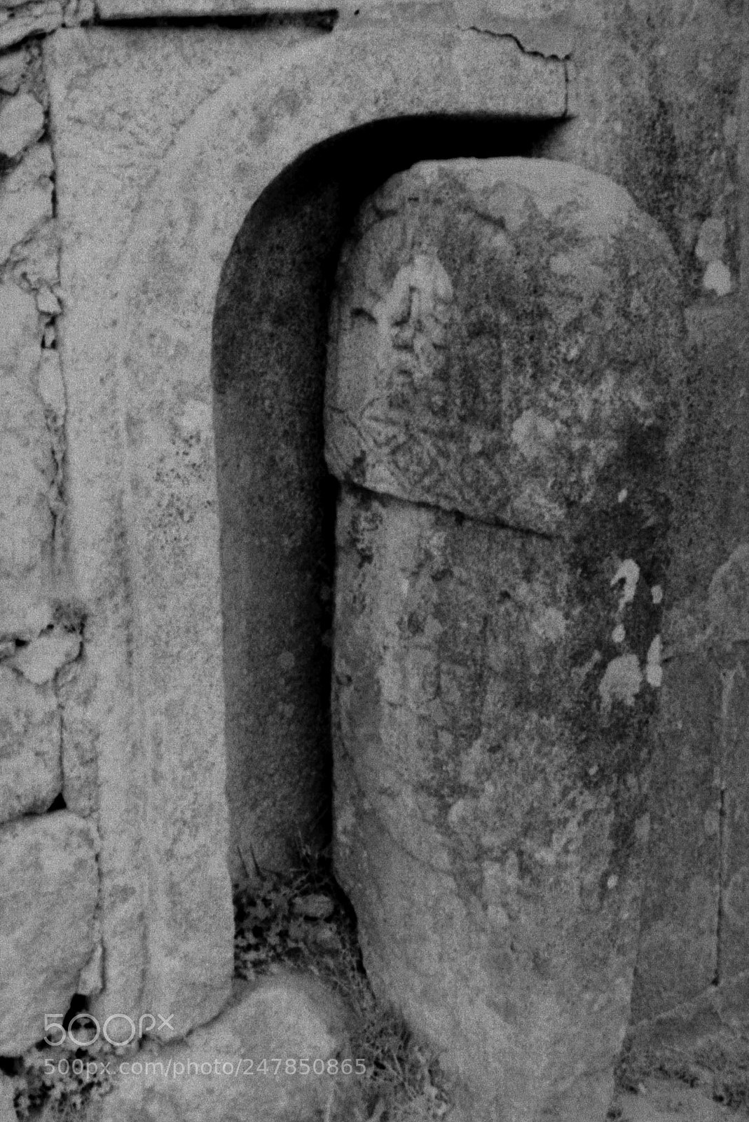 Canon EOS 400D (EOS Digital Rebel XTi / EOS Kiss Digital X) sample photo. Marco da barrosa photography