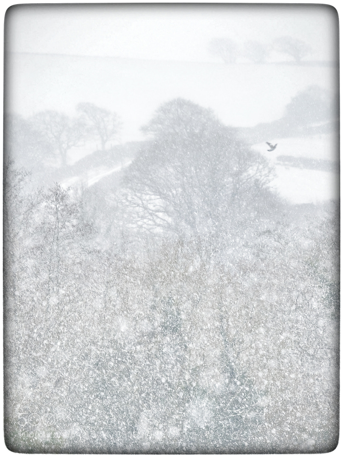 Fujifilm X-T2 sample photo. Snow in cornwall photography
