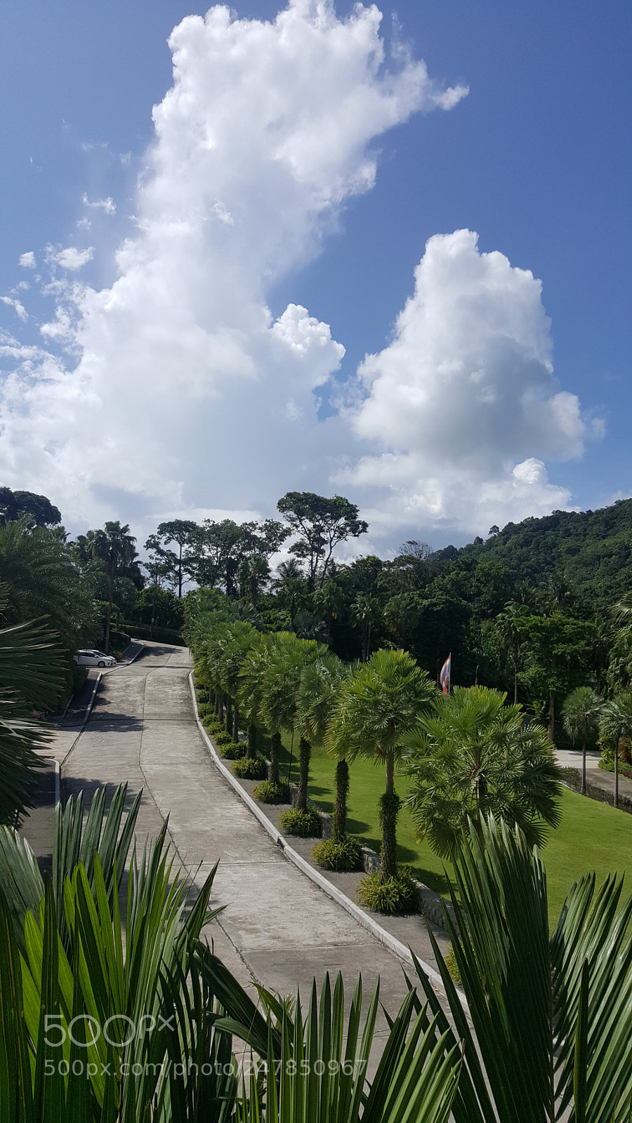 Samsung GALAXY S6 edge sample photo. Untitled photography